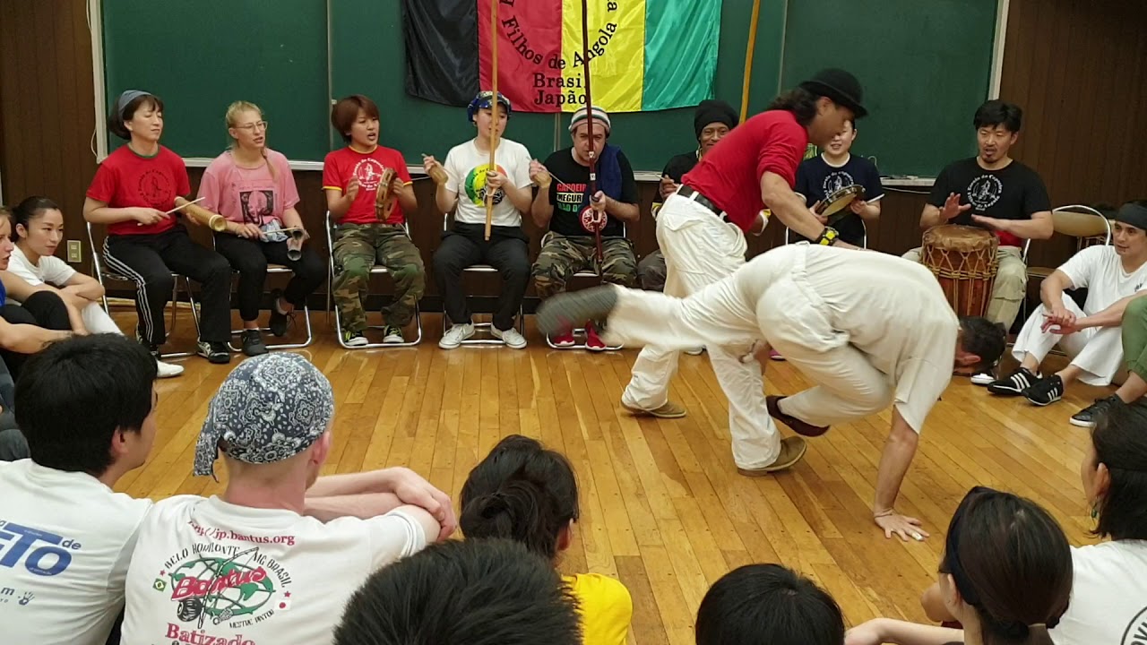 Vadiando Entre Amigos 2019 Japão. M Camaleão e Pinguino
