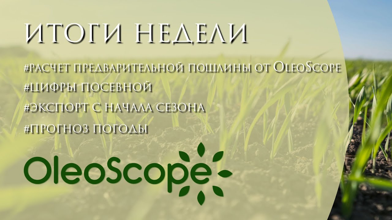 Предварительный расчет пошлины, цифры посевной и экспорта с начала сезона, прогноз погоды на весну