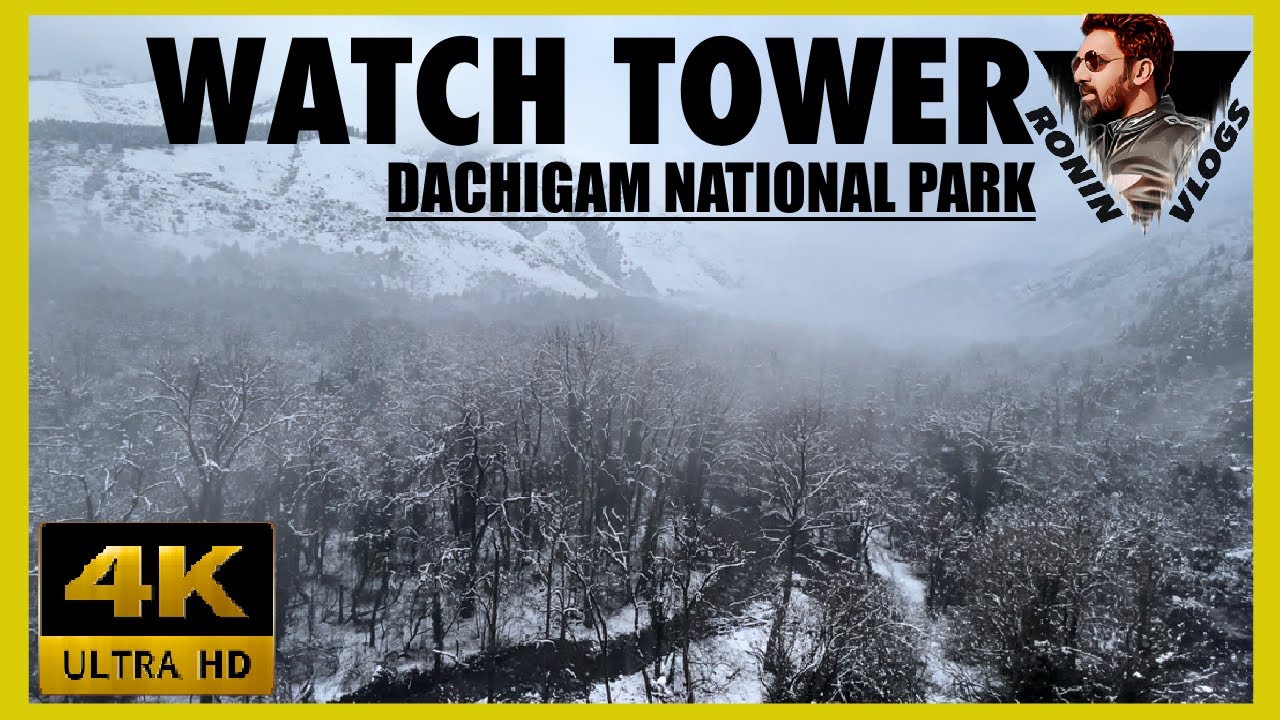 Watch Tower | Dachigam National Park | Winter View of Wildlife Sanctuary | Winter Trek 2022
