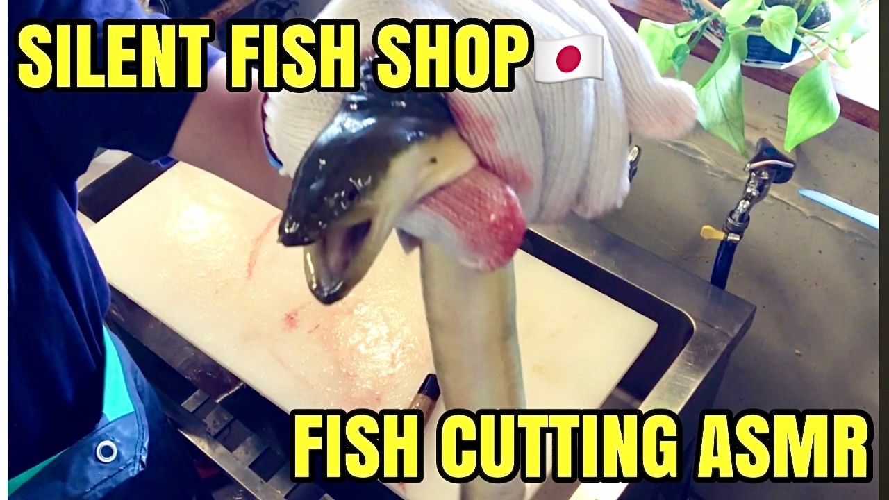 A Day at a Japanese Fish Shop｜Silent Fish Cutting ASMR
