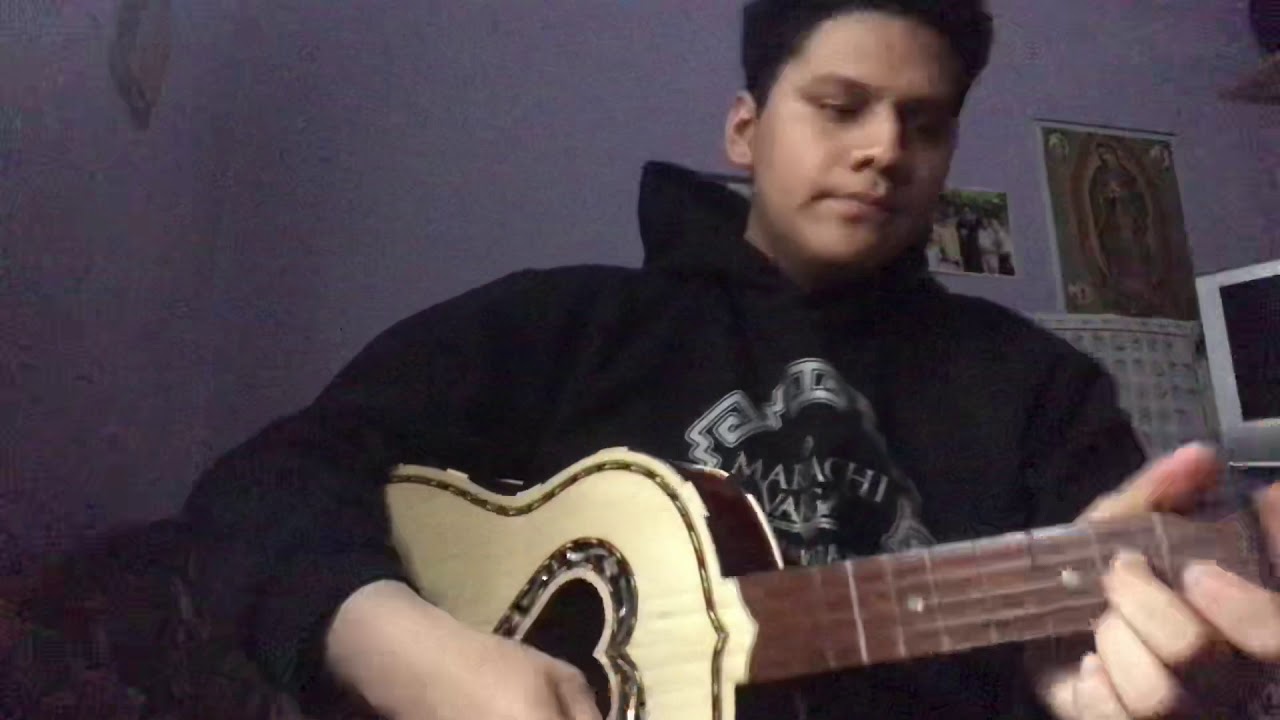 El Hidalguense (MV) /vihuela cover el caillou