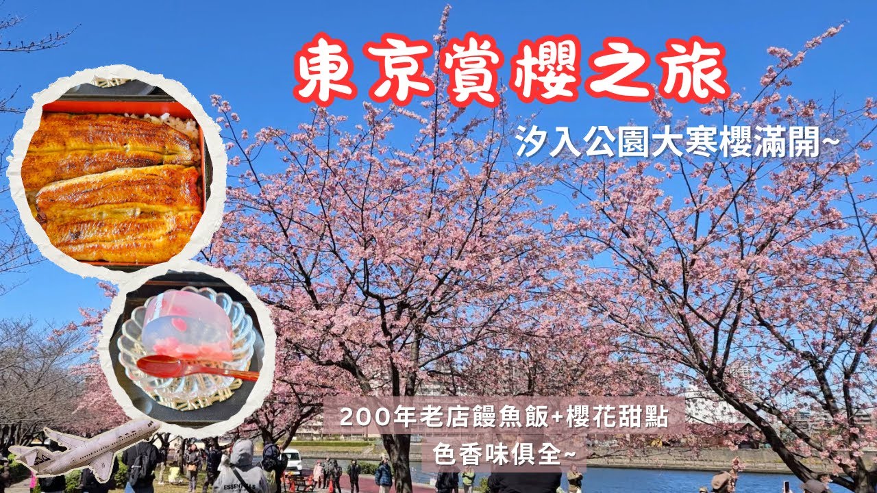 東京賞櫻美食之旅｜汐入公園大寒櫻滿開 🌸 超美味200年老店鰻魚飯 + 櫻花甜點｜雷門淺草寺 & 上野恩賜公園散策 #東京美食 #東京自由行 #東京櫻花 #上野美食 #鰻駒形前川 #土佐清水