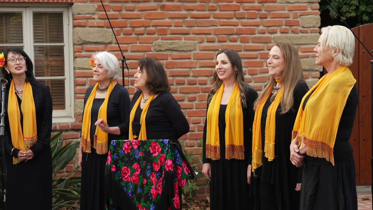 Croatian song Pjesma Udovice by Nevenka Folk Ensemble