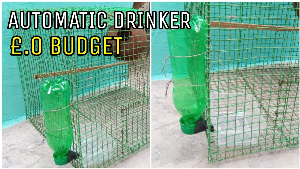 MAKE AUTOMATIC BIRD DRINKER AT HOME IN TAMIL!