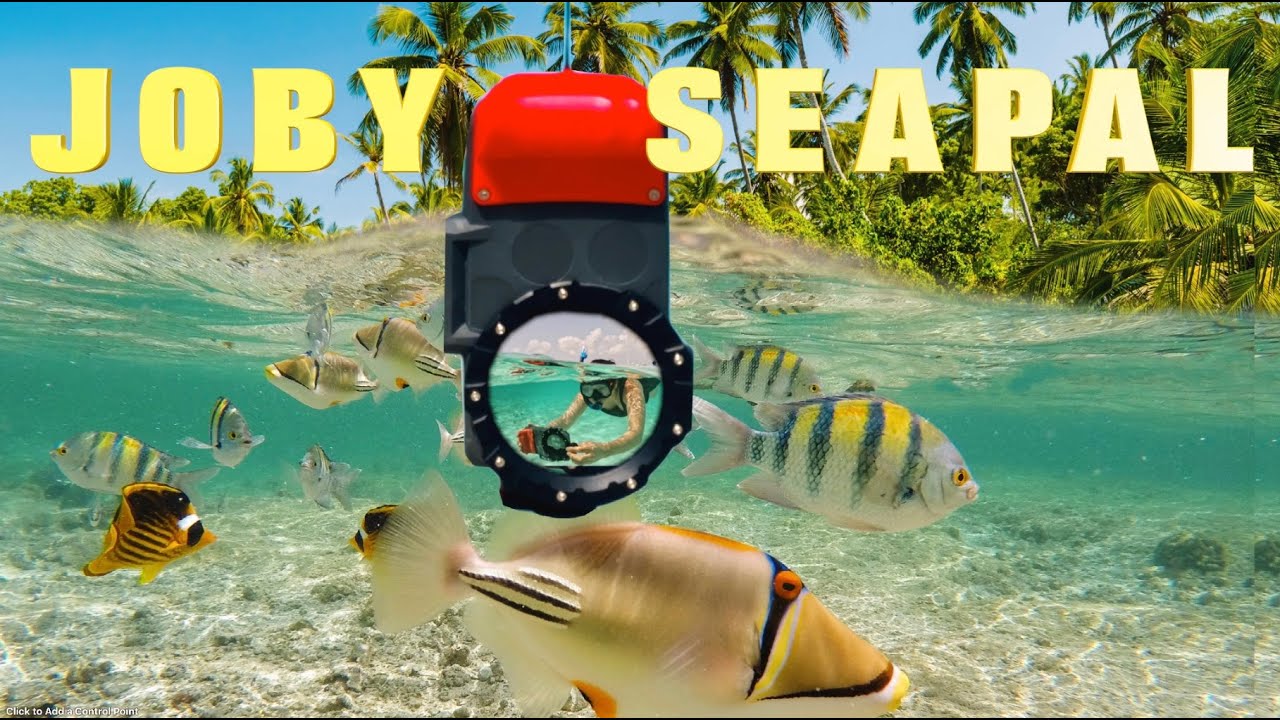 BEST UNDERWATER CAMERA CASE FOR DIVING - HONEST REVIEW OF JOBY SEAPAL