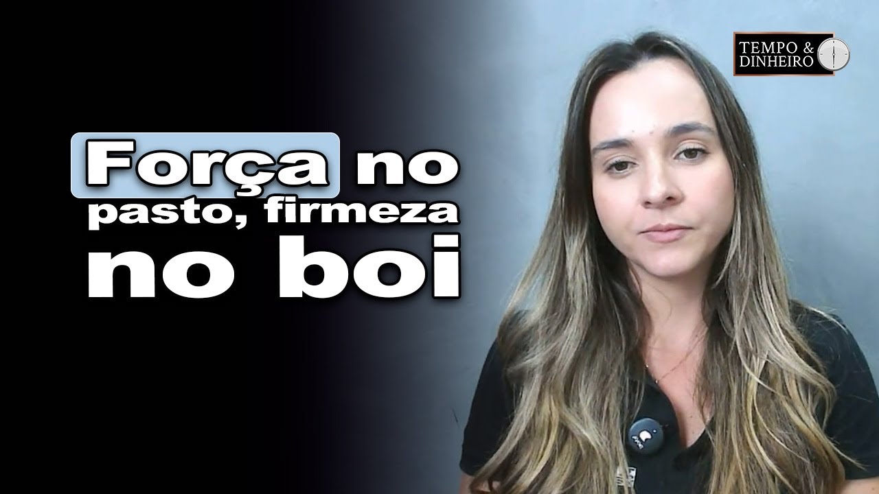 Boi gordo  : boas condições das pastagens  deixam preços mais firmes, informa Isabella Camargo