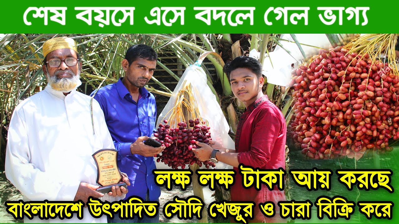 শেষ বয়সে খুলে গেল ভাগ্য ! যেভাবে লক্ষ লক্ষ টাকা আয় ও সৌদি খেজুর ফলাতে সক্ষম হল পাবনার জলিল স্যার  MI
