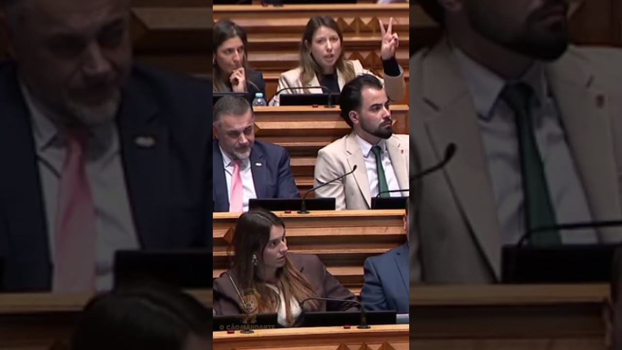 Um momento de tele-realidade parlamentar que nem o melhor argumentista conseguia escrever! 🎬🍿