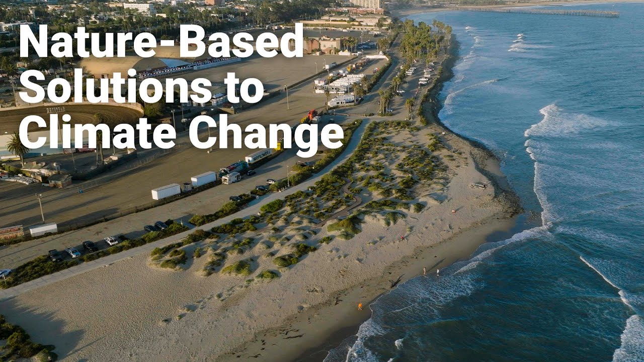 Nature-Based Solutions to Climate Change - Save Your Beach