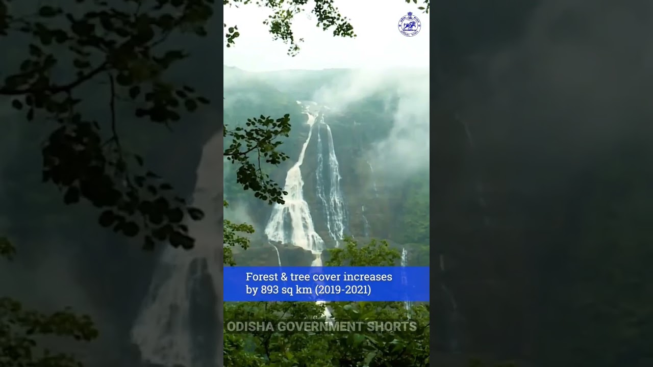 #odisha green cover Continues to Grow.#SabujaOdisha#Forest#Environment#GreenCover