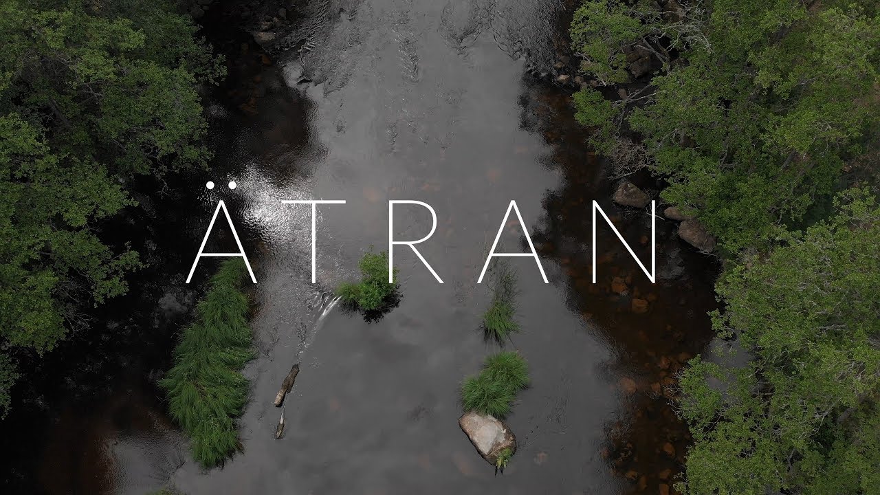 Fiske 2018 Del 1: Klurigt vid Ätran - DJI Mavic Air | Sony a6500 | 4K