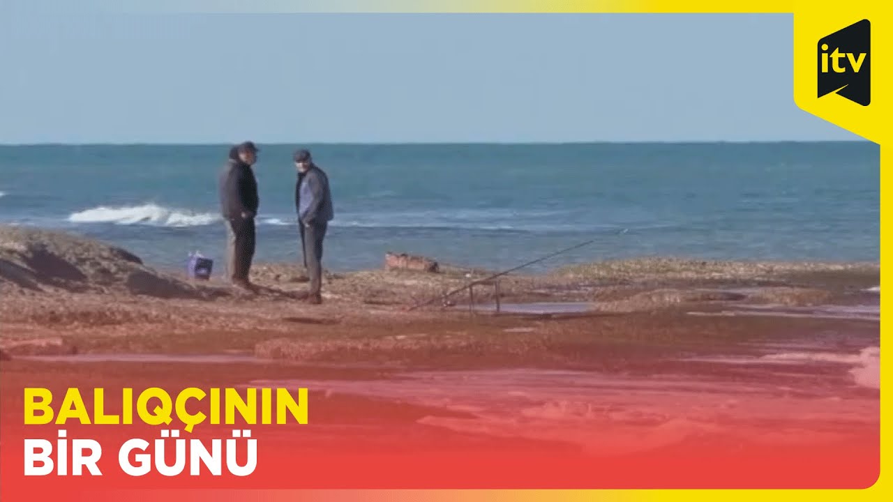 Balıqçının sahil macəraları