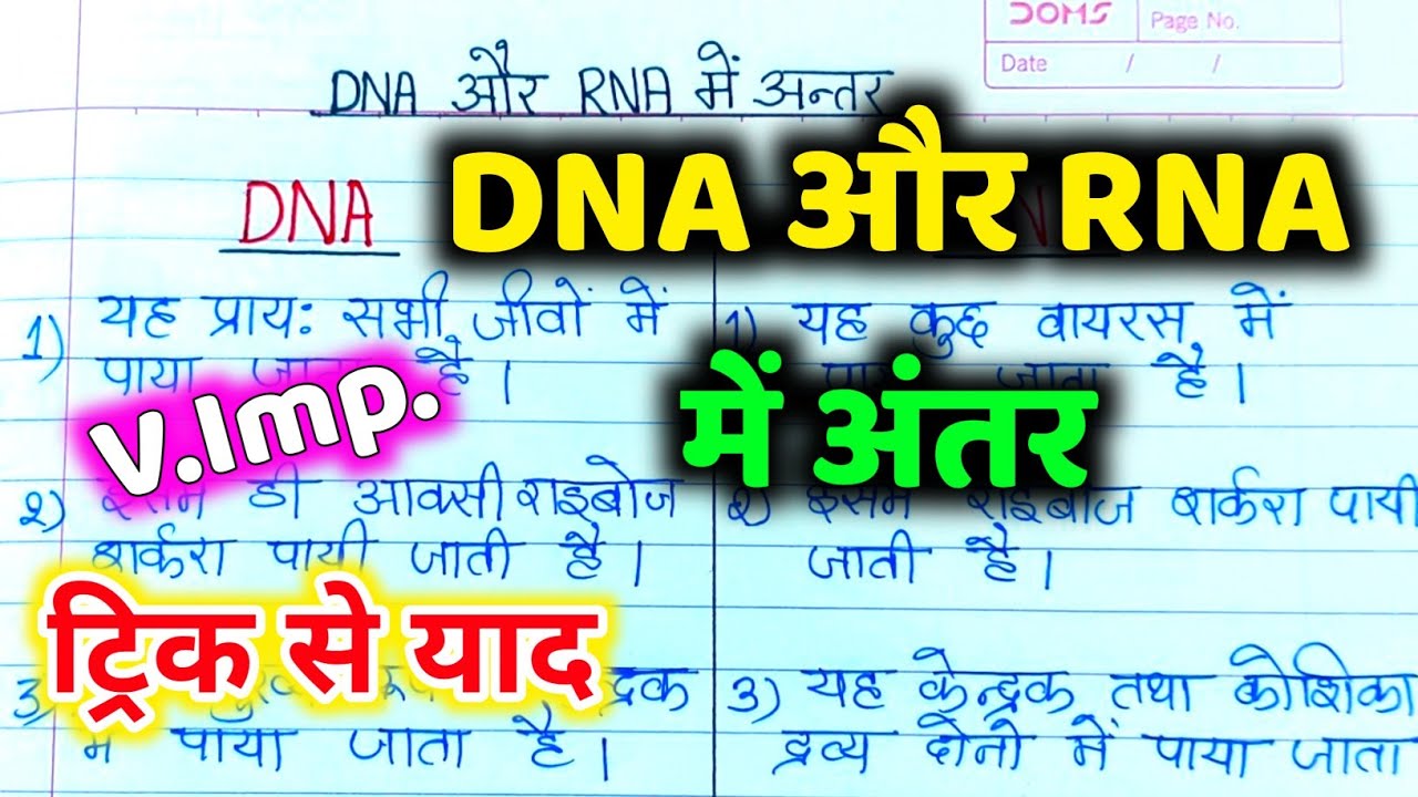 DNA और RNA में अंतर 🔥 || DNA and RNA me antar || Difference between DNA AND RNA || DNA और RNA