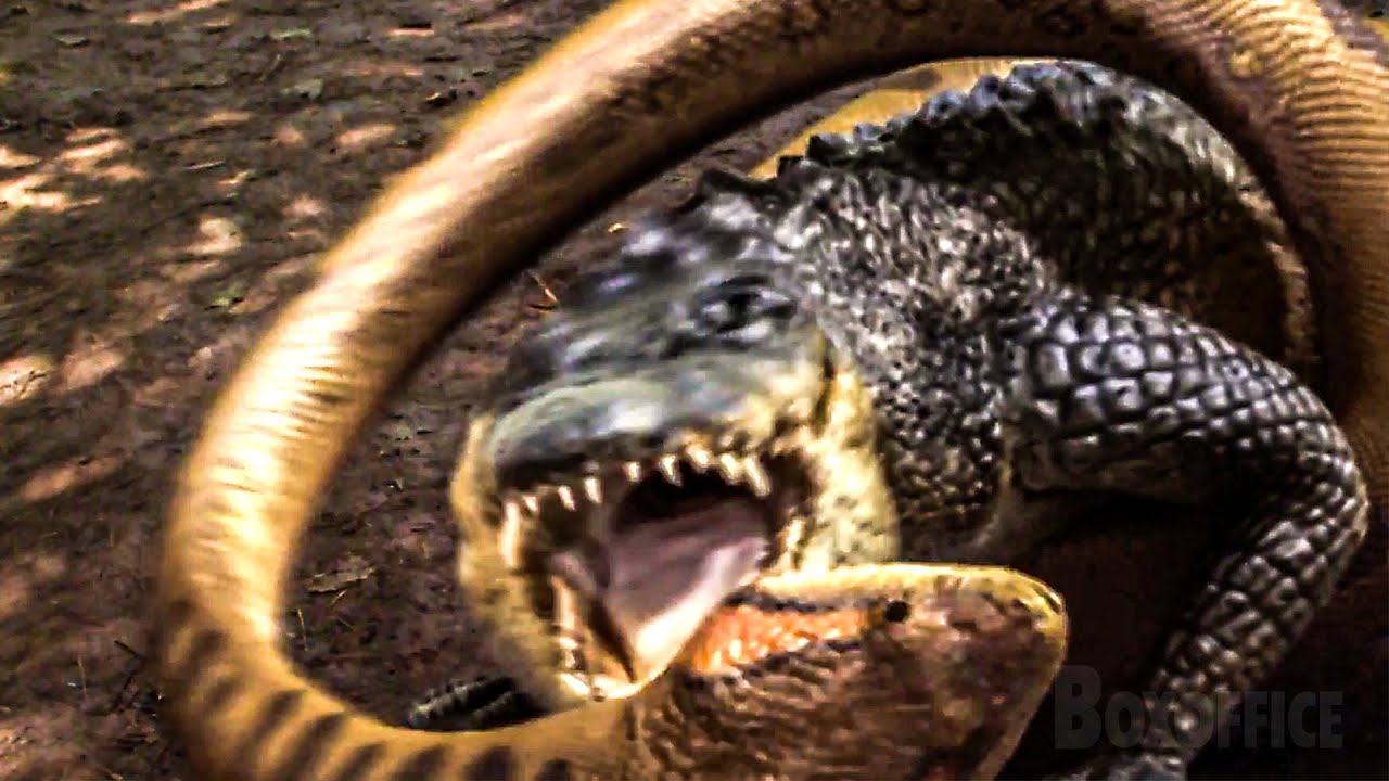 Un Serpent Géant VS  Un Alligator | Lake Placid vs. Anaconda | Extrait VF