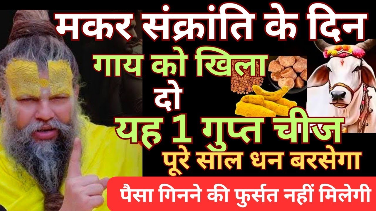 मकर संक्रांति के दिन गाय को खिला देना यह 1 गुप्त चीज, सात पीढ़ी बैठकर खायेंगी। Premanand ji maharaj