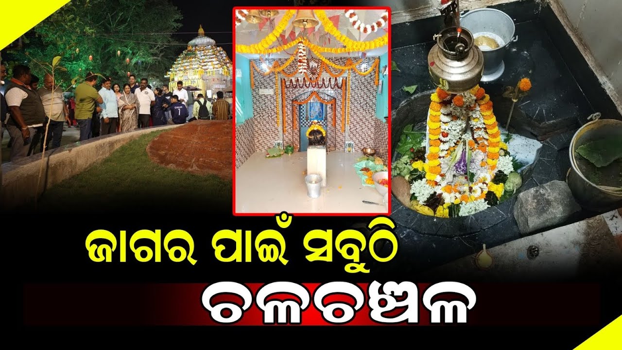 ଜାଗର ପାଇଁ ସବୁଠି ଚଳଚଞ୍ଚଳ || saiba pitha || Odisha news live @onliveodisha 