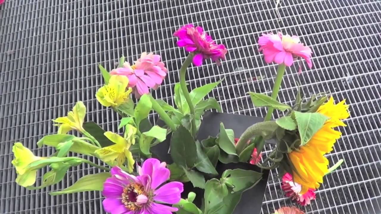 Blumen f&uuml;r die Vielfalt