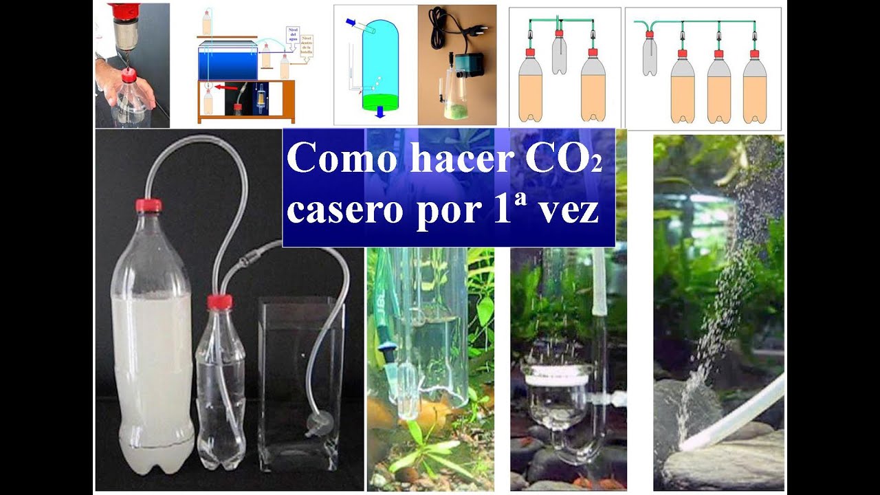 Como hacer CO2 casero por 1ª vez