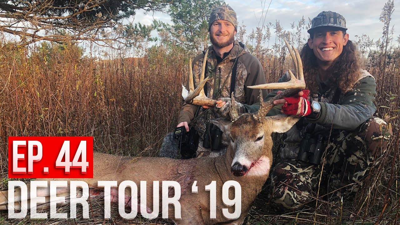 SPOT AND STALK ON  A LOCKED DOWN BUCK - NEW YORK PUBLIC LAND