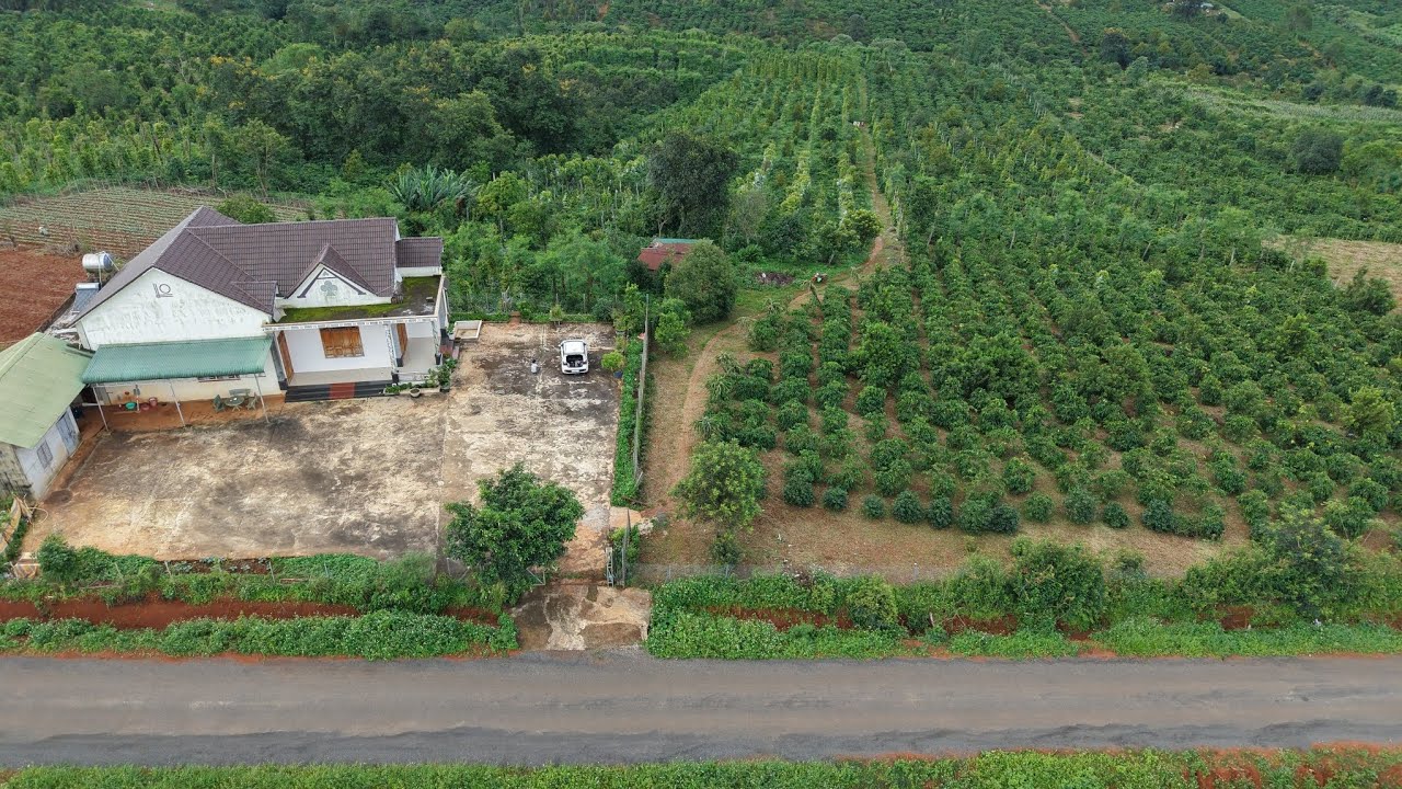 ( ĐÃ BÁN ) 4.6 HA NGUỒN THU - NHÀ THÁI TO - NƯỚC TƯỚI TẸT GA BÁM 175 M NHỰA BÁN LH 0979.653.223