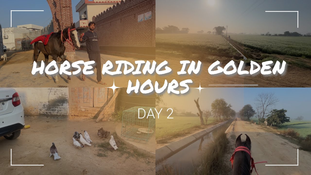 The Best Way to Wake Up: Horse Riding | Peaceful Morning in the Fields 
