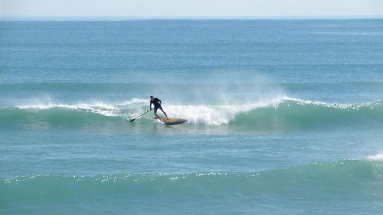 SUP Surfing the Reform