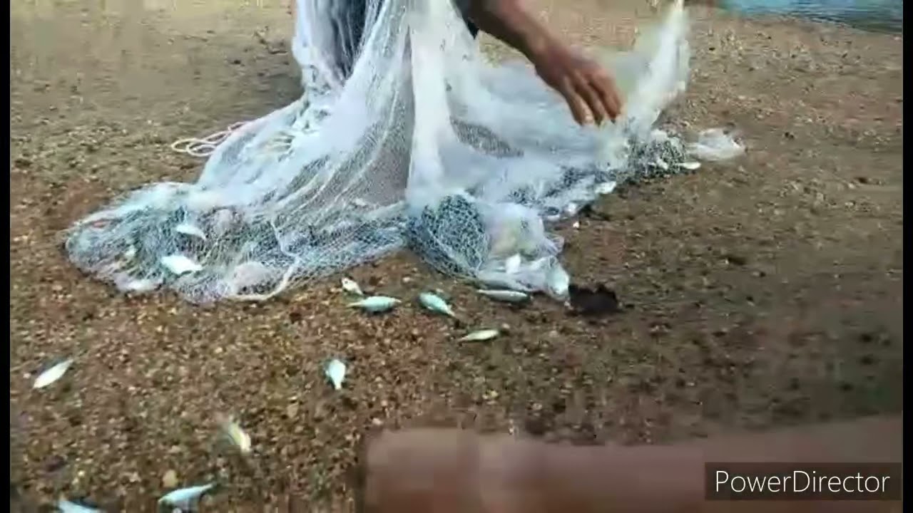 Cambodian fishing 2021/ Fishing at Cambodia 🇰🇭