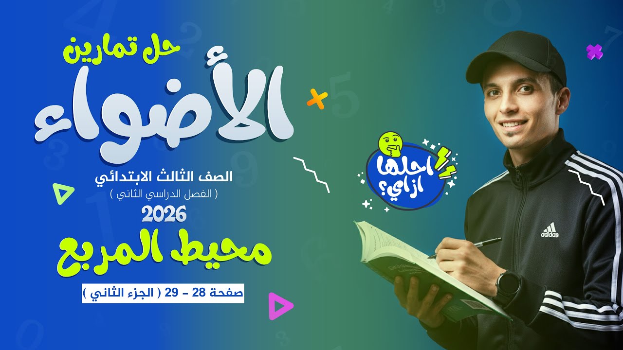 حل تدريبات الأضواء ص28 و 29 | محيط المستطيل | رياضيات تالتة ب ترم ثاني 2026 - دليلك للمذاكرة