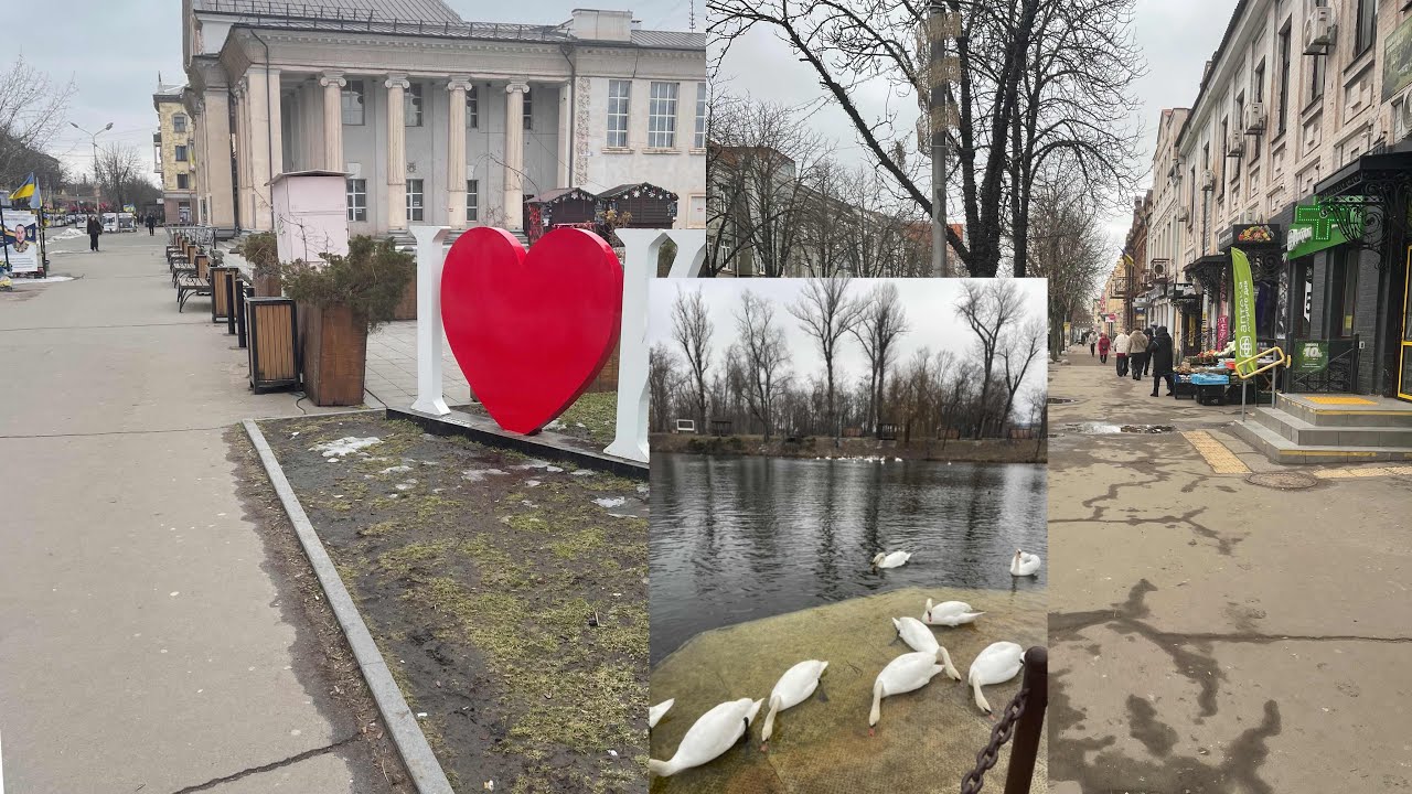 КРИВИЙ  РІГ🇺🇦ЦЕНТР  парк  ГАГАРІНА //МЕРШАВЦЕВА  ПРИЛЕТІЛИ  ЛЕБЕДІ 