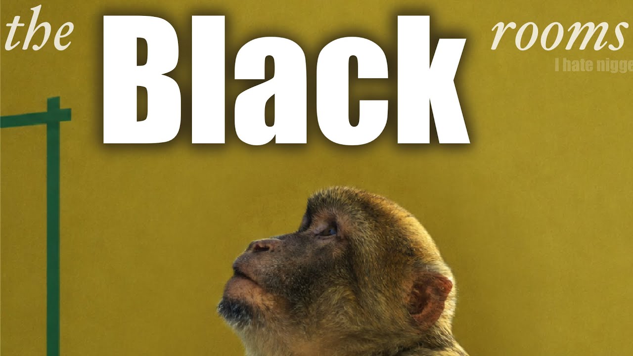race-mixing? in MY a24 slowburn indie horror film!?