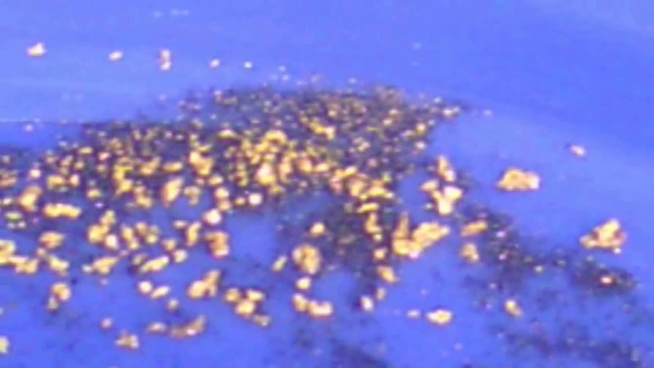 Paydirt-From Aussie Bloke Prospector