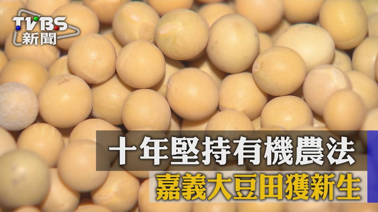 【TVBS】十年堅持有機農法　嘉義大豆田獲新生