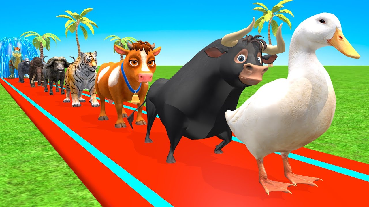 New Long Slide Game with Cow Elephant Gorilla Hippopotamus Tiger 3d Animal Game Funny 3d Animals