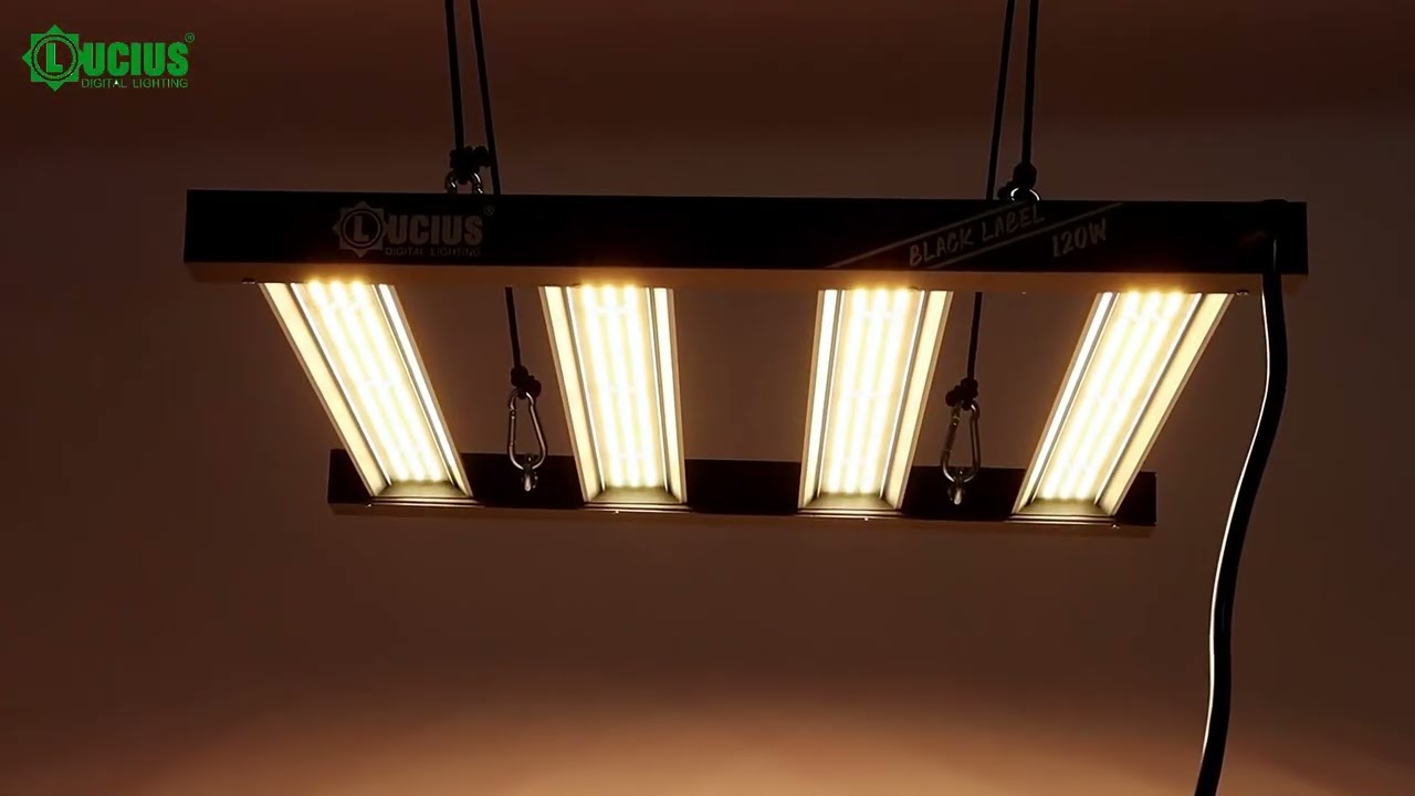 Lucius 120w Led Grow light