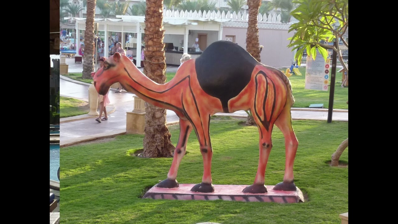 Albatros Palace Hurghada Ägypten