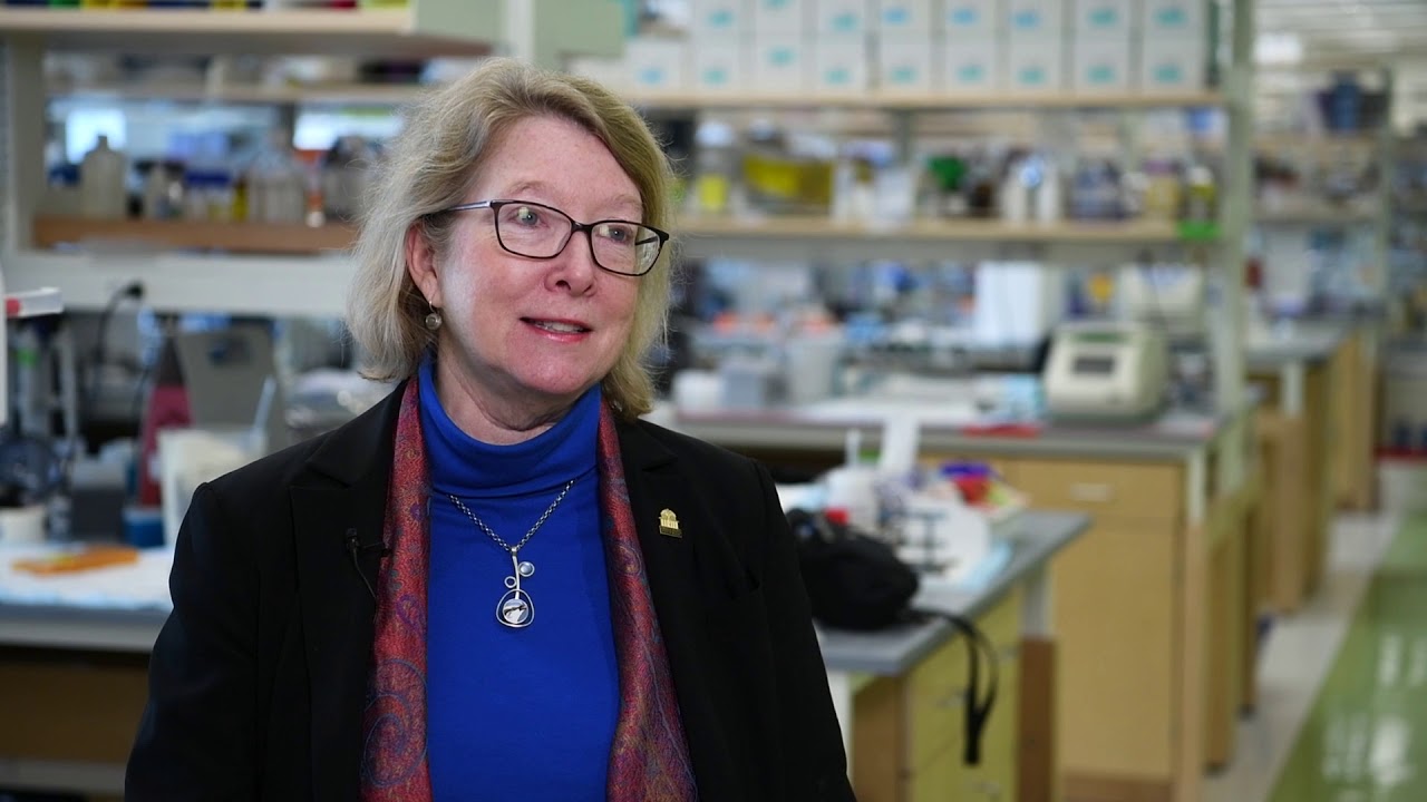 Murderous Microglia Meld Male Brains