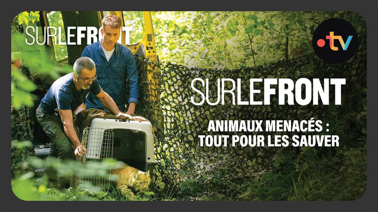 Animaux menacés : tout pour les sauver (Intégrale)