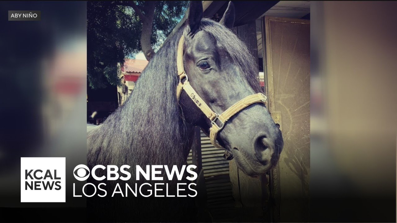 2 horses stolen from Whittier Narrows Equestrian Center