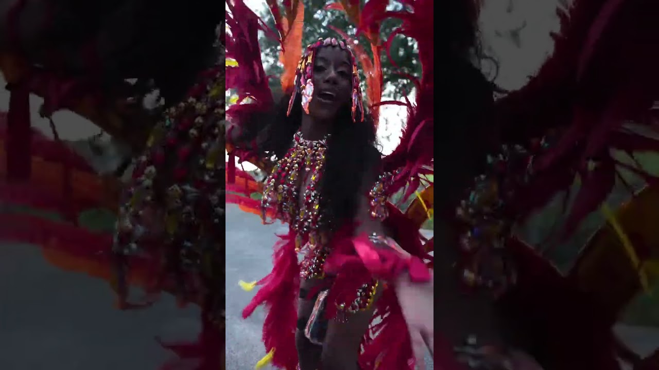 Miami Carnival 🇬🇾🇯🇲 #trinidad #miamicarnival #miami #carnival #caribbeancarnival #guyana