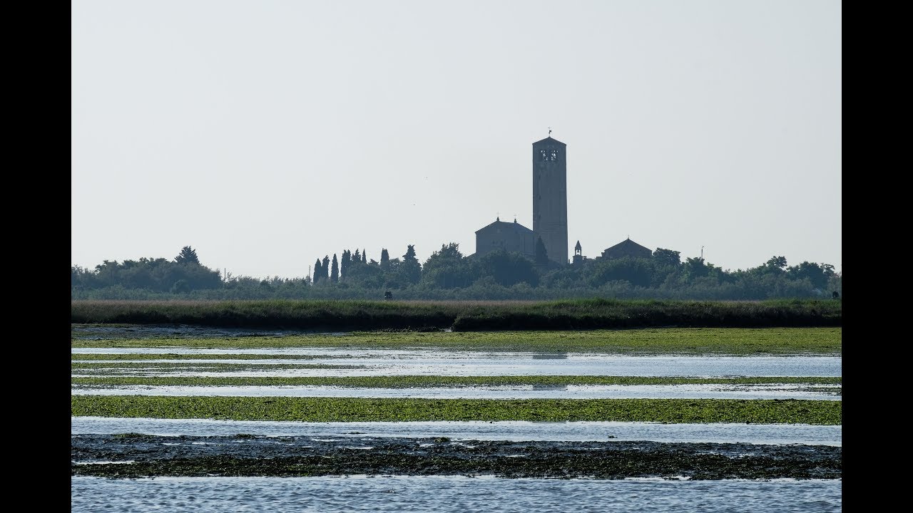 LIFE VIMINE - Un approccio integrato alla conservazione sostenibile della laguna di Venezia
