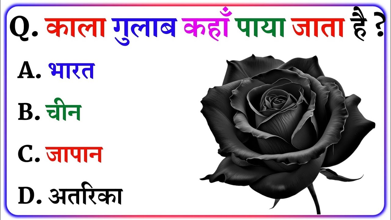 Gk Questions And Answers || Gk in Hindi || General Knowledge || Gk Quiz || NNB GK STUDY