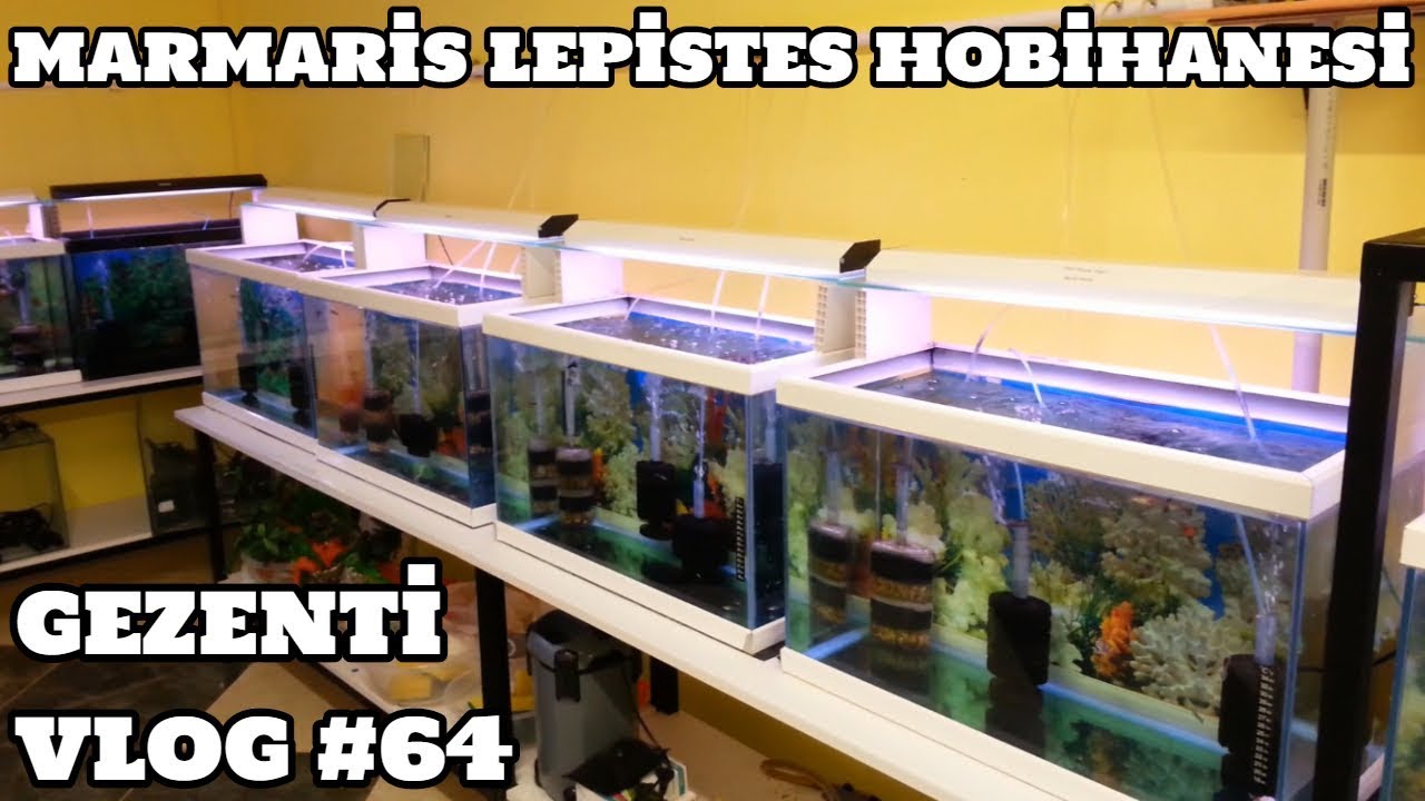 Gezenti Vlog #64 (Marmaris Lepistes Hobihanesi)