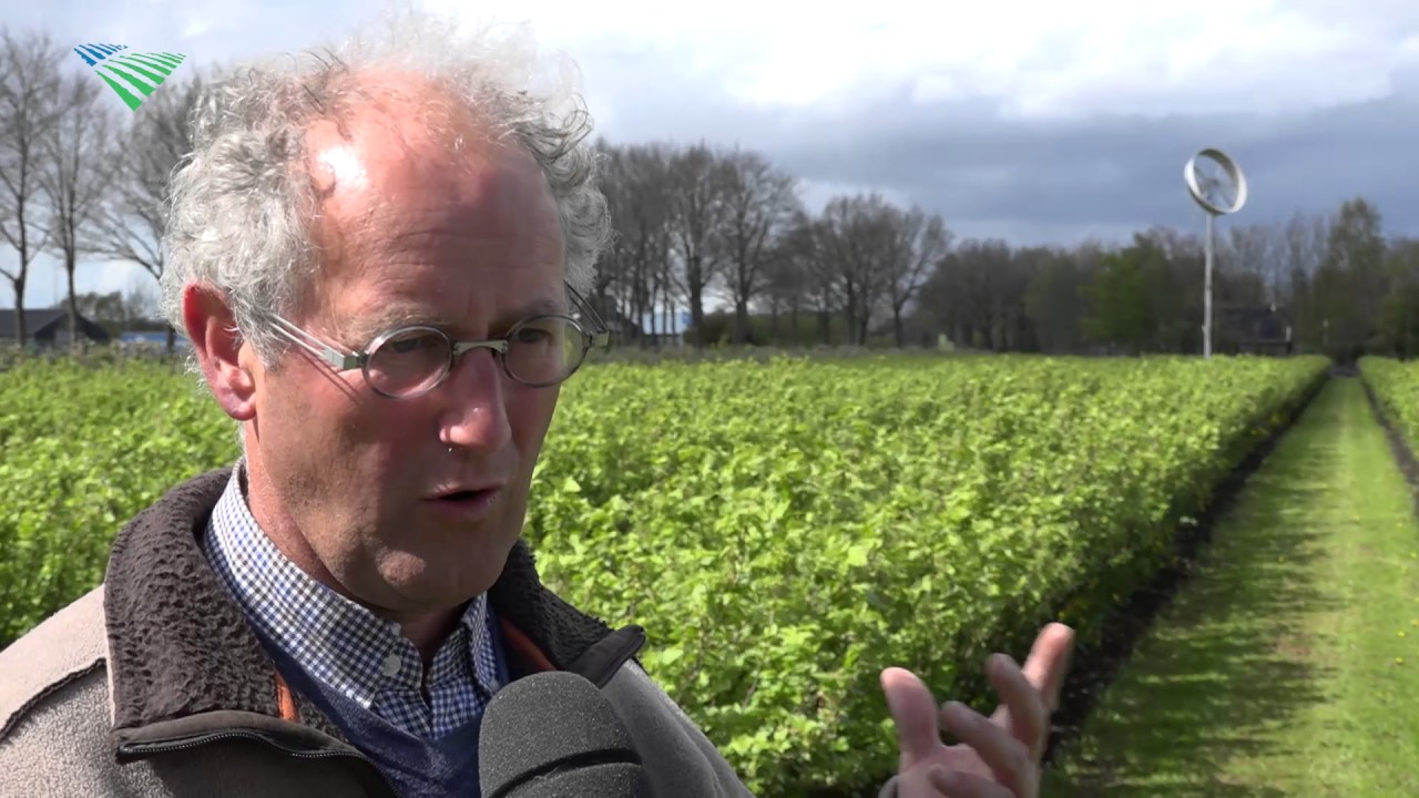 Fruitteler zet metershoge ventilator in tegen nachtvorstschade