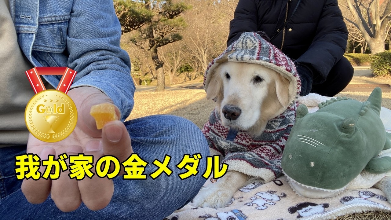 【金メダル】我が家の金メダルは？