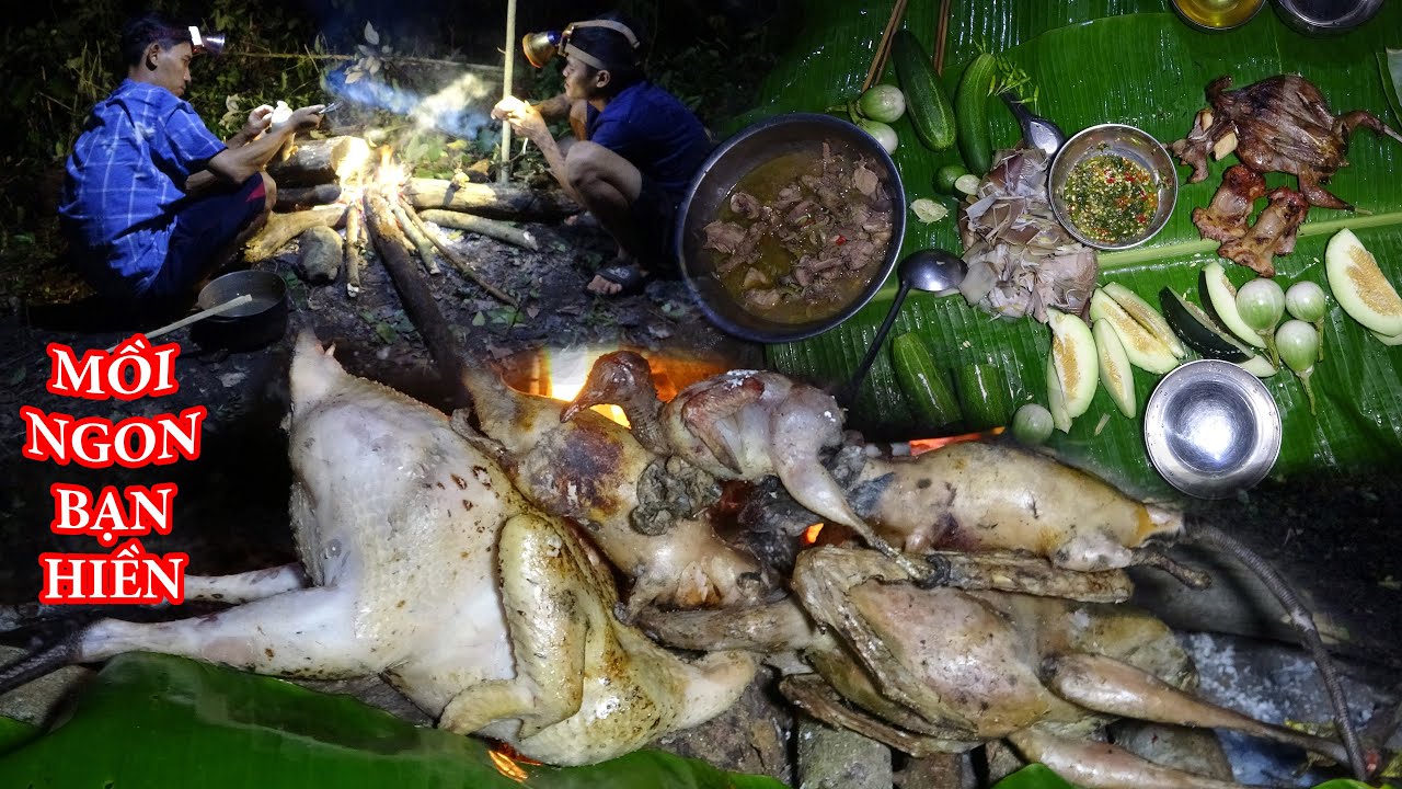 SĂN GÀ RỪNG MIỀN NÚI, MÓN ĐẶC SẢN NƠI NÚI RỪNG - T3