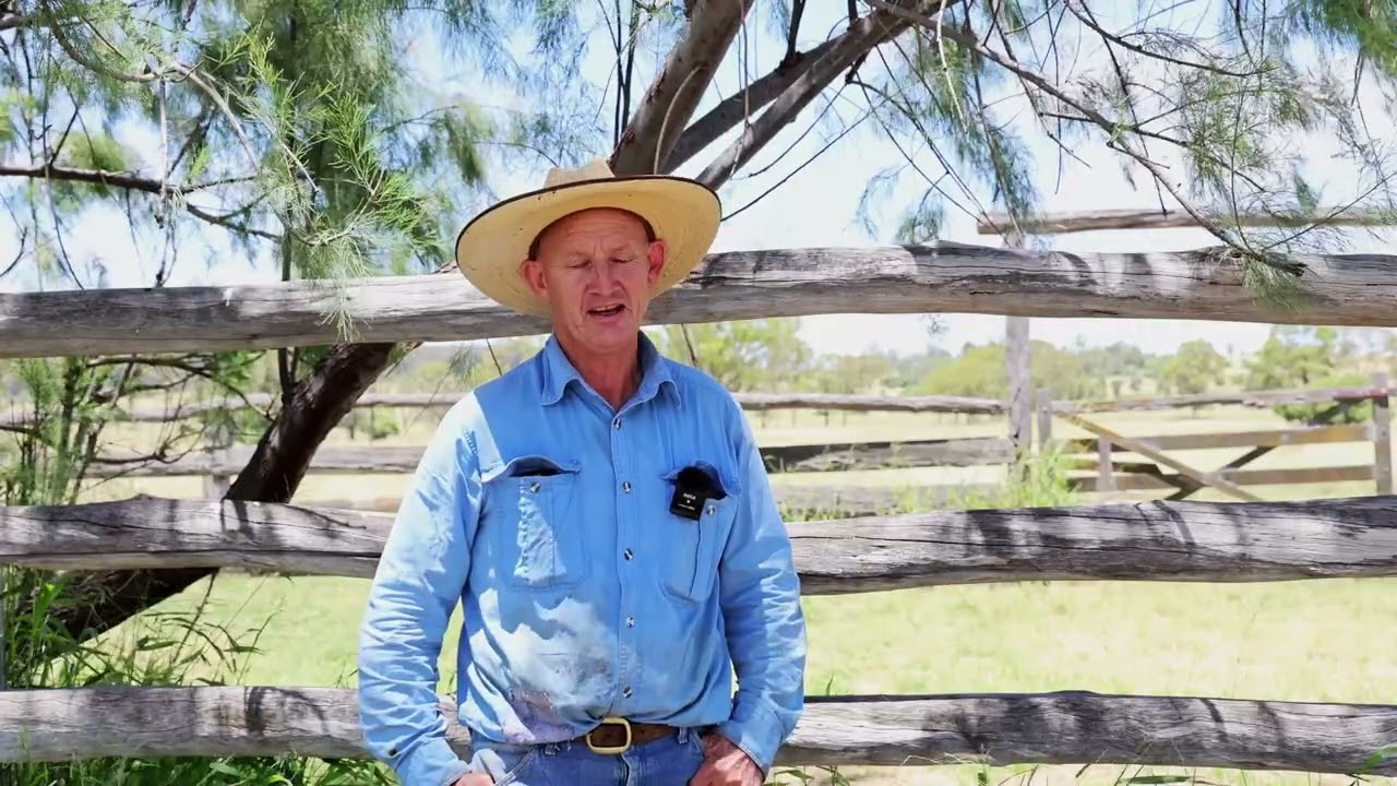 David Greenup Testimonial