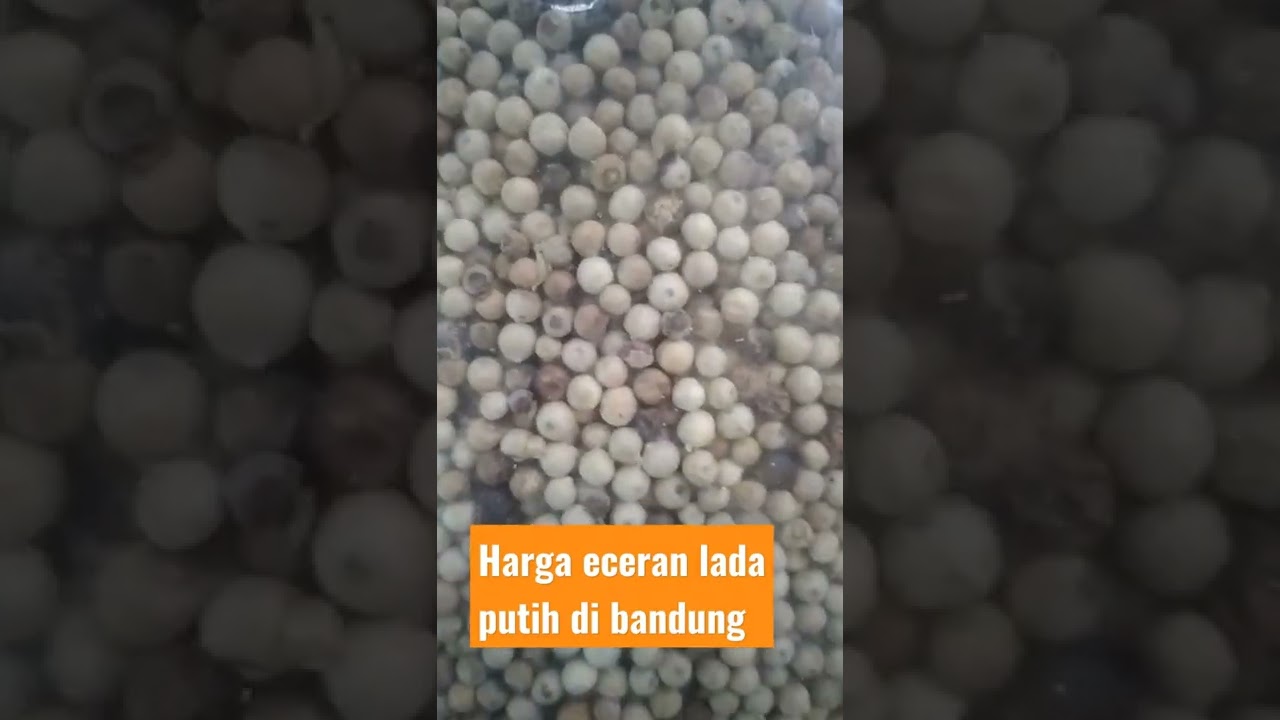 Harga lada putih eceran saat ini di bandung  @Asep Ahmadsyah Bandung raya #shorts