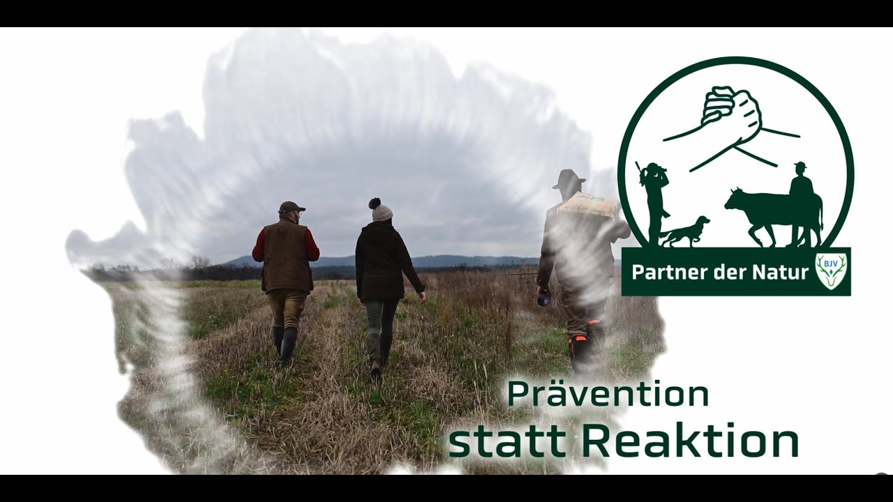 Prävention statt Reaktion: 