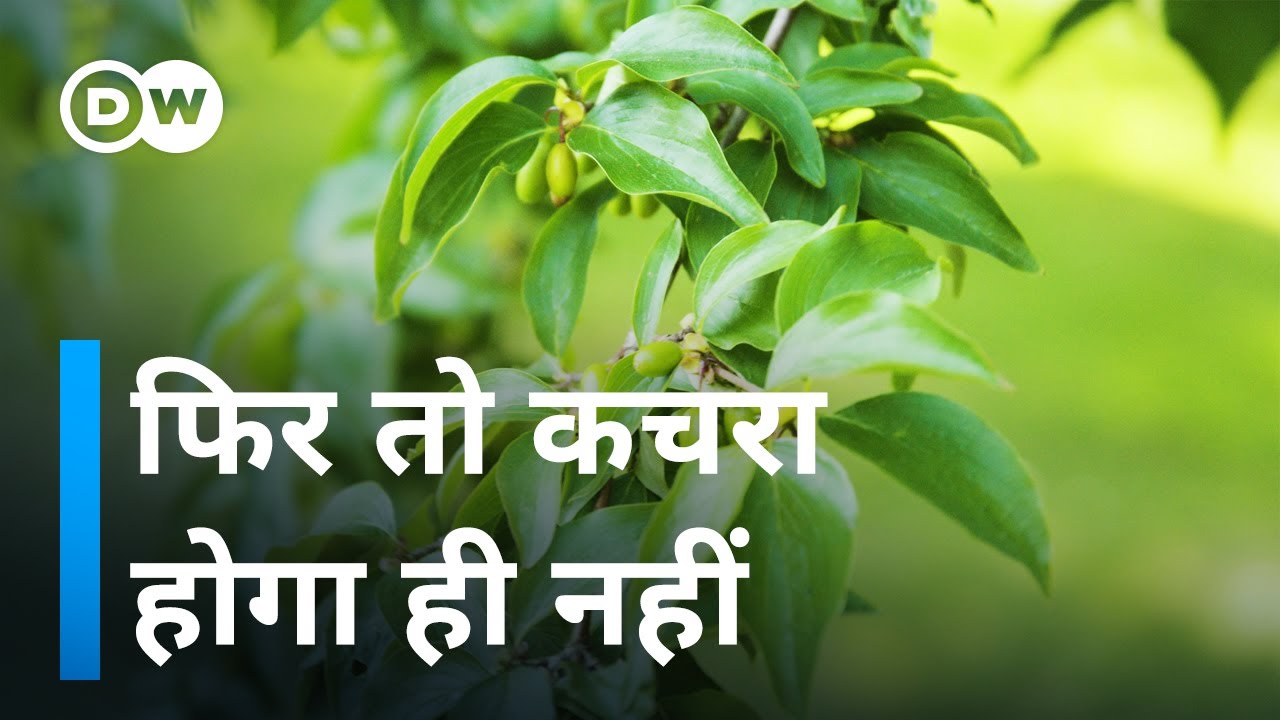 प्रकृति से सीखने का नाम है सर्कुलर इकोनोमी [How does the circular economy work?]