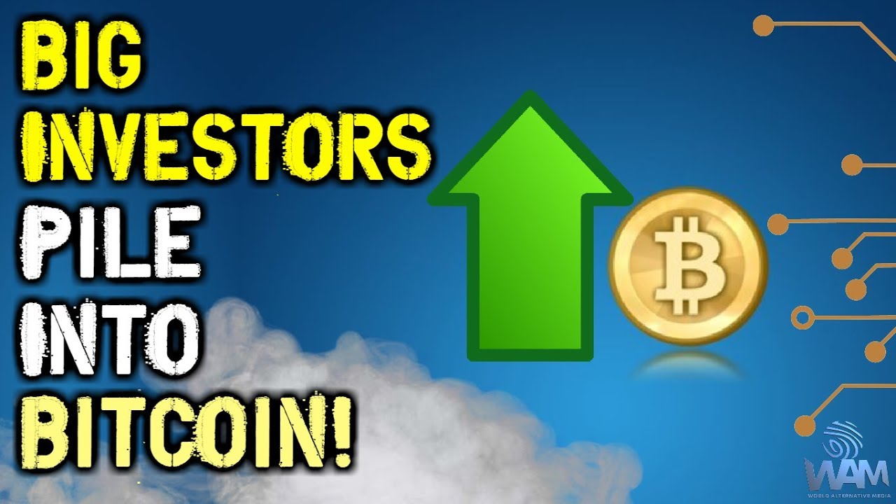 BIG Investors Get On The Bitcoin Bandwagon As Crypto Ad Ban Escalates!